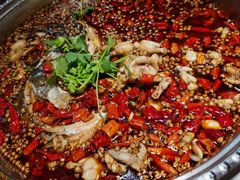 -味之绝热血美蛙鱼火锅(中坝店)