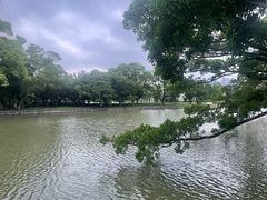 -江心屿景区