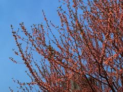 -潘家园(地铁站)