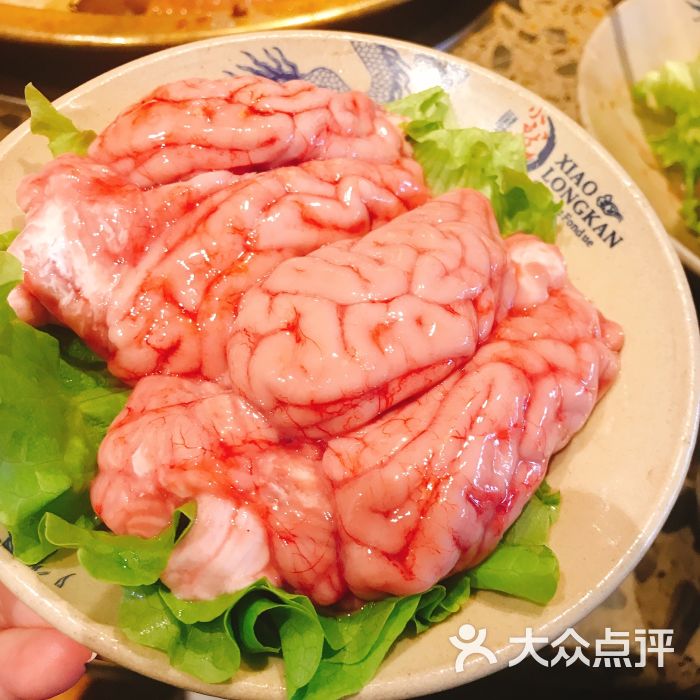 小龙坎老火锅(东直门店-聪明脑花图片-北京美食-大众点评网