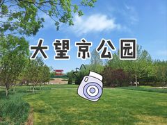 -大望京公园