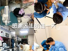 -御宝贝24h宠物医院·转诊中心·CT核磁血透中心(厦门总院)