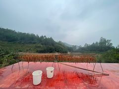 -天强农家菜馆