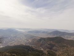 -抱犊崮国家森林公园