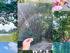 -上海市保健医疗中心