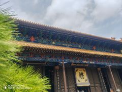 -普陀山风景名胜区-法雨禅寺