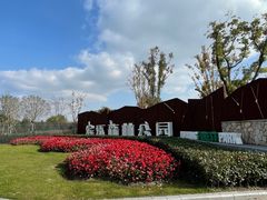 -上海滨江森林公园
