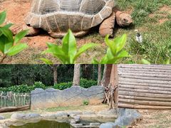 -云南野生动物园