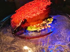 蝶鱼-地球美食剧场