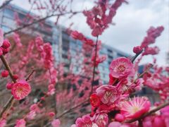 -青山湖景区