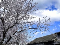 -春风习习