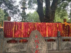 -大槐树寻根祭祖园