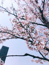 -忆江南婚礼策划(姑苏店)