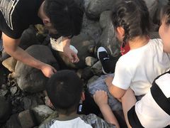 -吴淞炮台湾湿地森林公园烧烤区