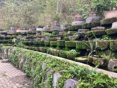 -靖西鹅泉风景区