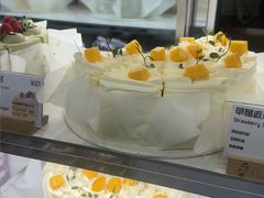 -夏佐CHASEL(横店康庄路店)
