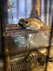 -酷嗒动物文化乐园(cutezoo西溪乐天城店)