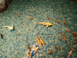 -酷嗒动物文化乐园(cutezoo西溪乐天城店)