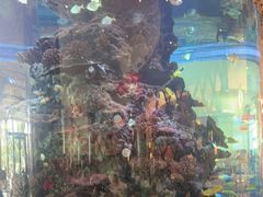 -长隆横琴湾酒店(珠海旗舰店)