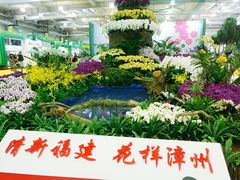 -东南花都花博园