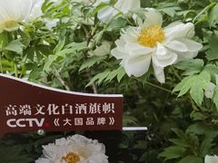 -洛阳市隋唐城遗址植物园