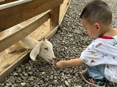 -HERRE·FARM 赫尔露营农场·团建聚会包场