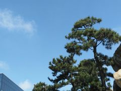 -南通洲际绿博园