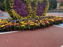 -黛秀湖公园