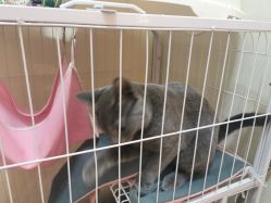 -Miss·A日式美甲美睫