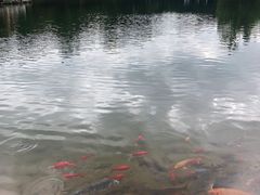 -蝴蝶泉公园