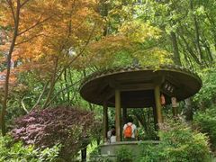 -杭州半山国家森林公园