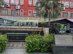-大湾区中央湿地公园-十九涌