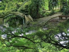-广州市石门国家森林公园