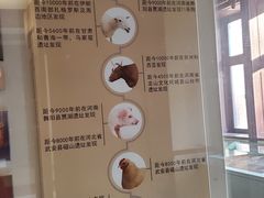 -北京动物园-畅观楼