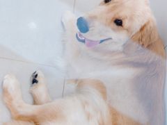 -佳雯宠物医院·皮肤科·内外科(春晓路分院)