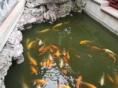 -檀园