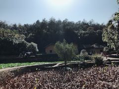 -韶山毛泽东同志故居