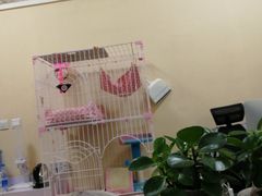 -青春加萌照相馆