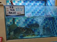 -野渡坡·极致湘菜·庭院餐厅(汉阳店)