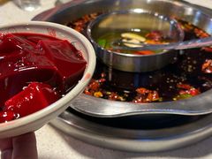 -九尺赵老四鲜鹅肠火锅