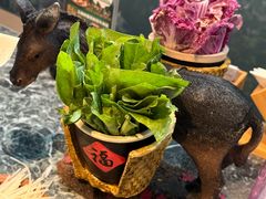 -慢丽江·云南野生菌土鸡锅(西山店)