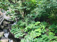 -天津盘山风景名胜区