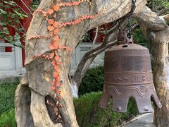 -石岛赤山风景区