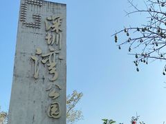 -深圳湾公园(南山区)