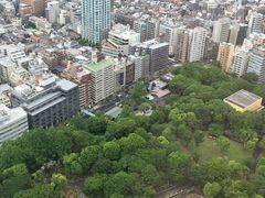 -东京都厅舍