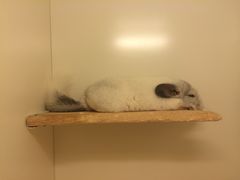 -龙猫仔乐园(惠福东路店)