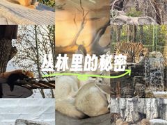 -上海野生动物园老虎餐厅