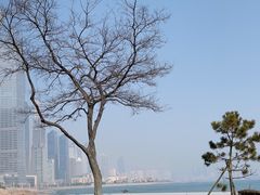 -青岛第三海水浴场