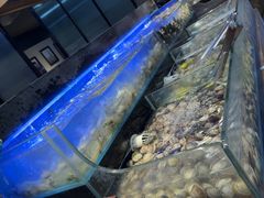 -苏格里岛·自助烤肉·火锅海鲜(金鼎广场店)