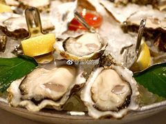 -Oyster Talks 四度蚝法餐厅